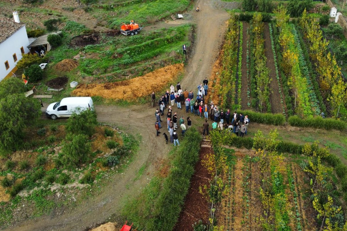 Aerial view of a tour at Terra Sintropica.jpg